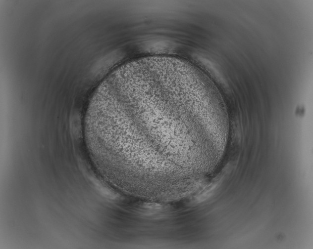 X0000092220453200709281047