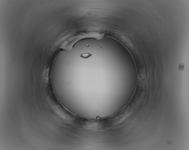 X0000092220454200709281047