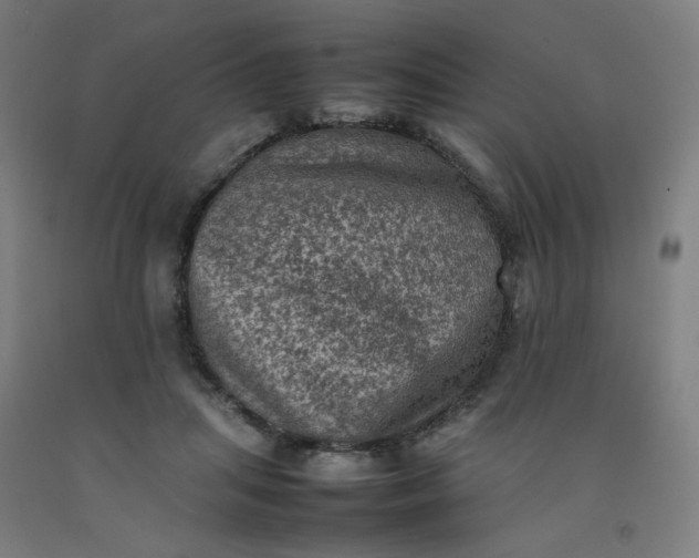 X0000092220455200709281047