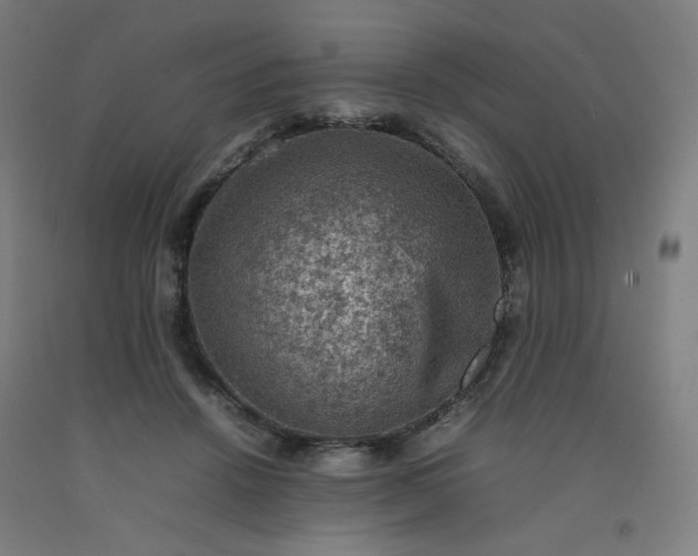 X0000092220456200709281047