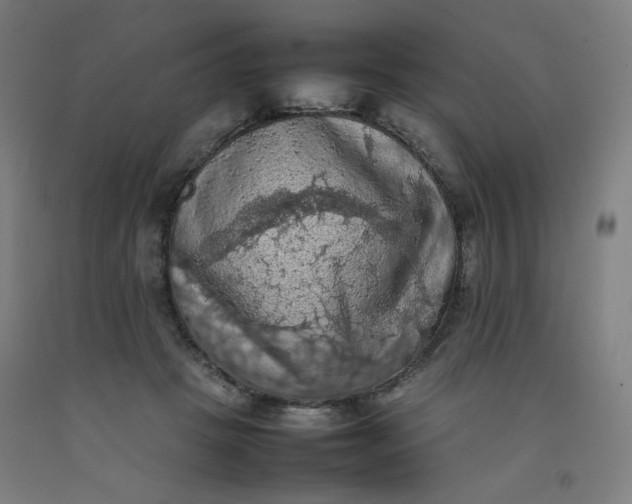 X0000092220457200709281047