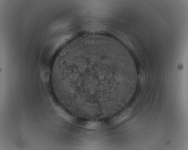 X0000092220458200709281047