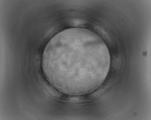 X0000092220461200709281047