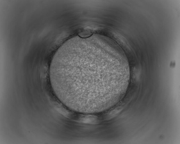 X0000092220463200709281047