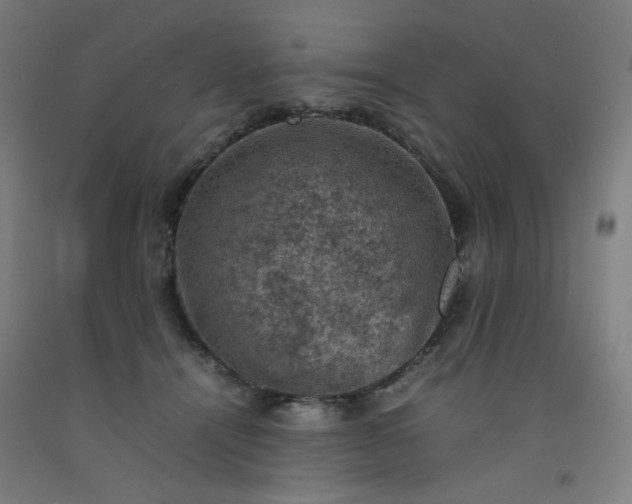 X0000092220464200709281047