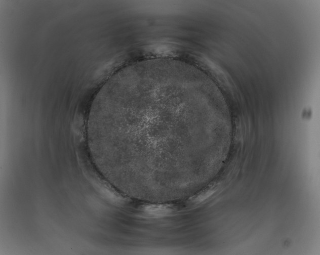 X0000092220465200709281047