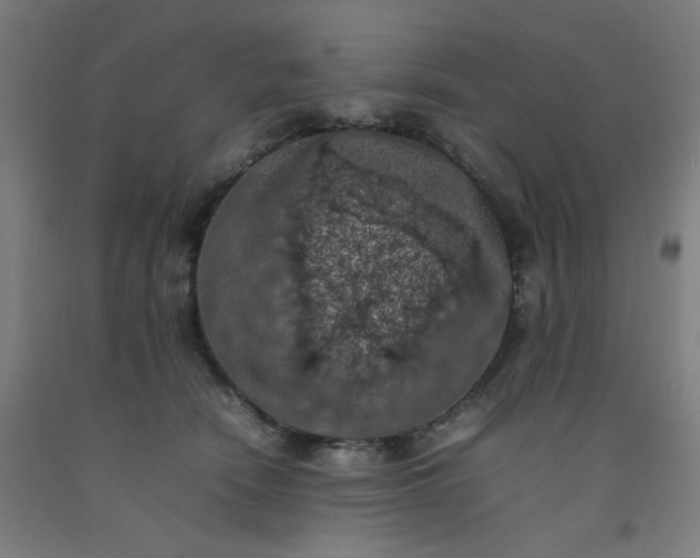 X0000092220466200709281047