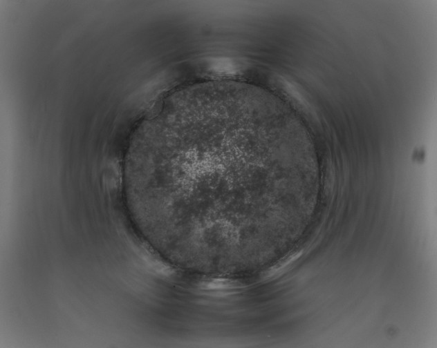 X0000092220467200709281047