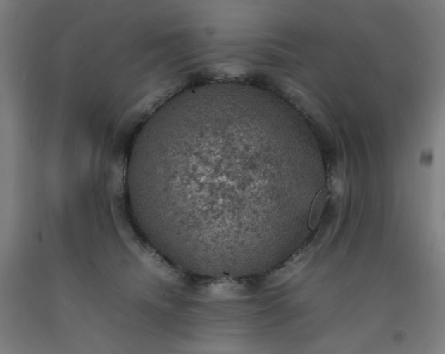 X0000092220468200709281047