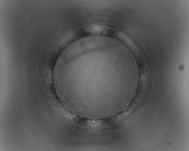 X0000092220469200709281047