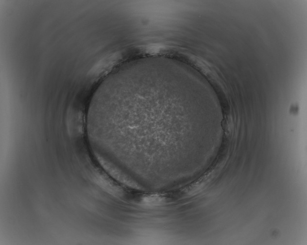 X0000092220470200709281047