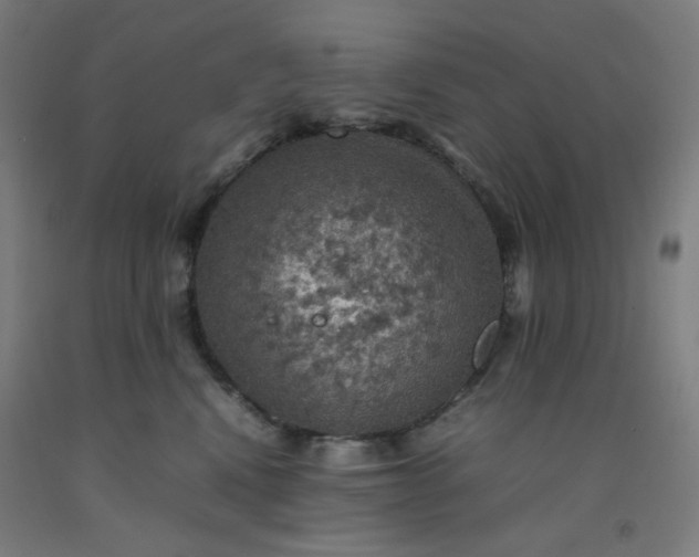 X0000092220472200709281047