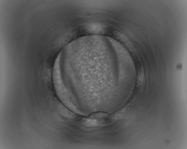 X0000092220473200709281047