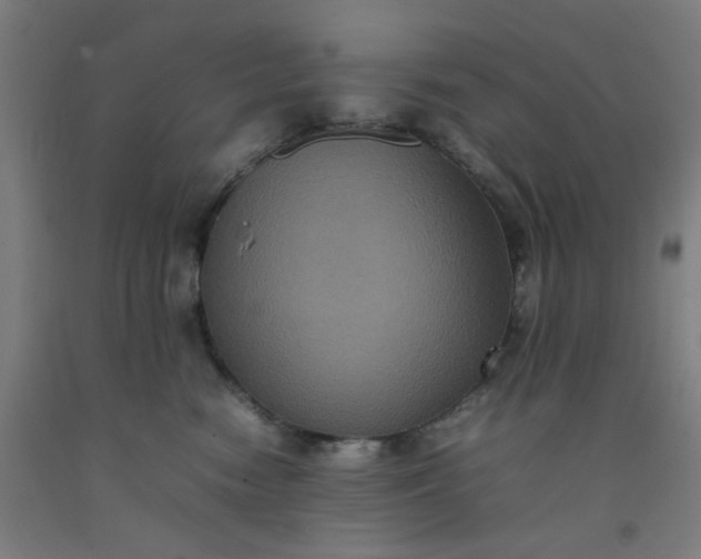 X0000092220474200709281047