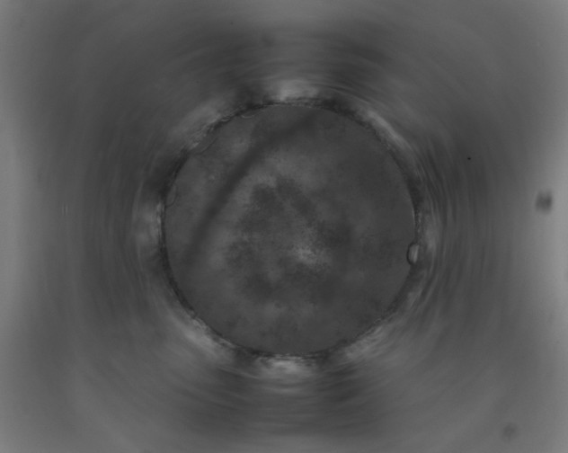 X0000092220475200709281047