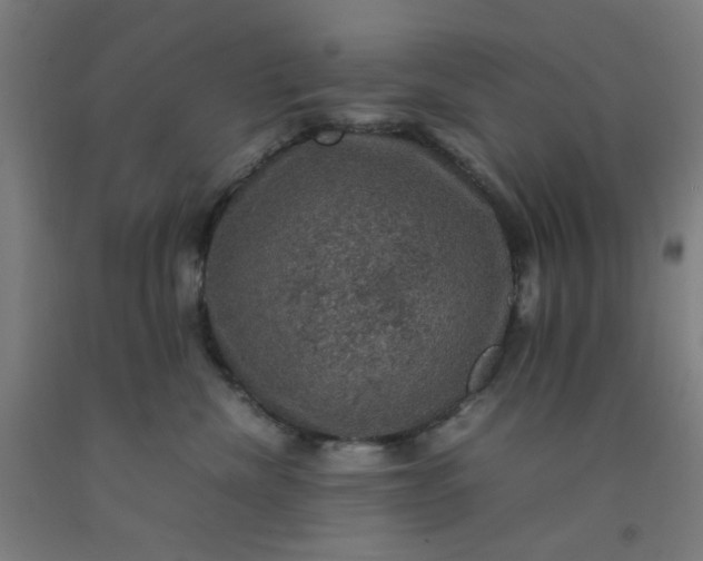 X0000092220476200709281047