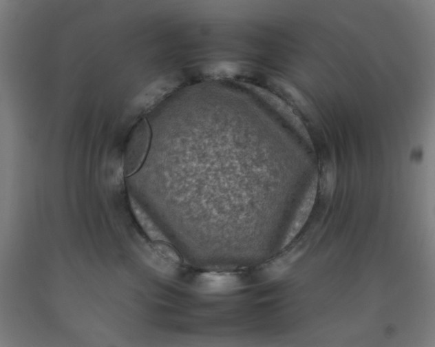 X0000092220477200709281047