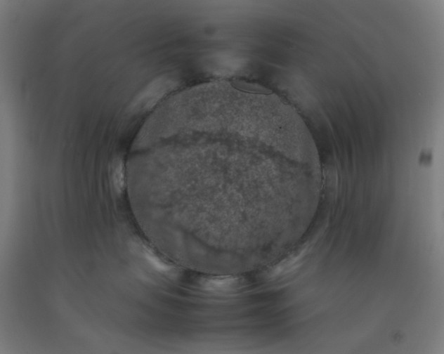 X0000092220479200709281047