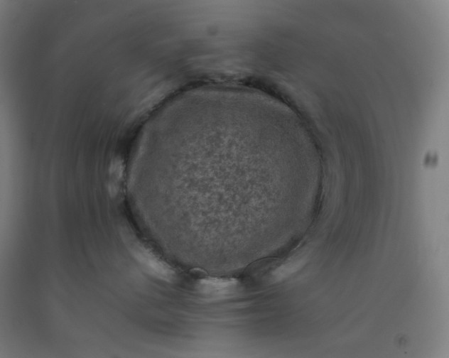 X0000092220480200709281047