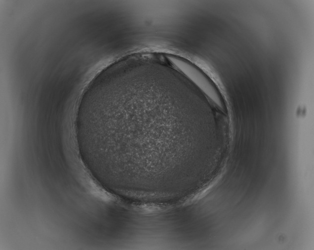 X0000092220481200709281046