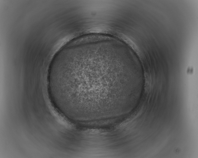 X0000092220482200709281046
