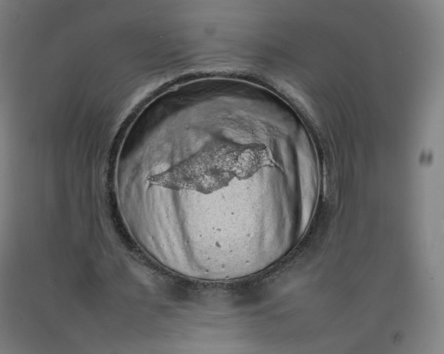 X0000092220483200709281046