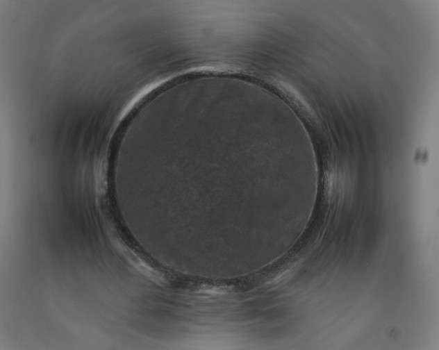 X0000092220484200709281046