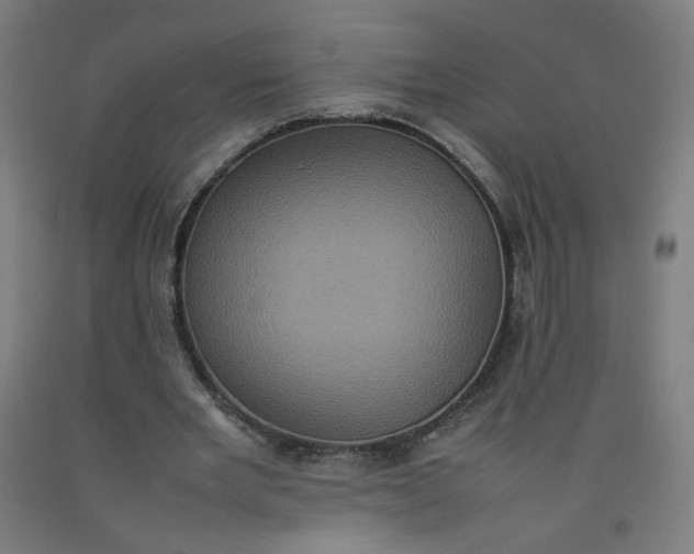 X0000092220485200709281046
