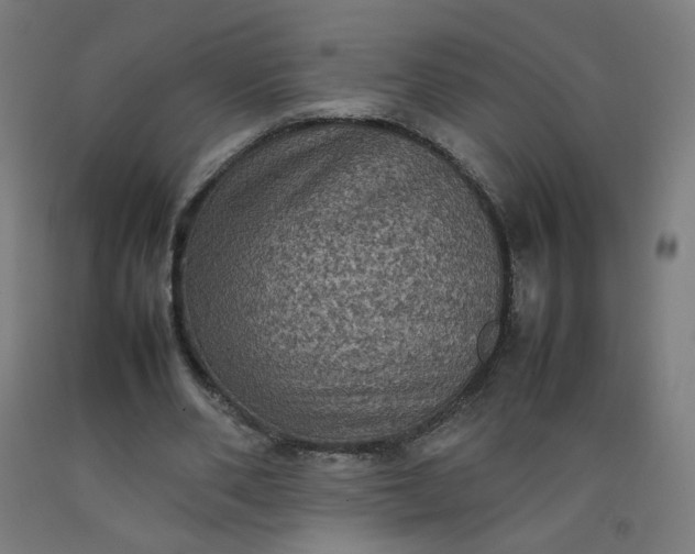 X0000092220486200709281046