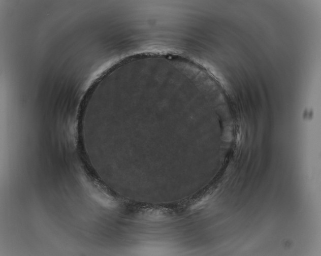 X0000092220488200709281046