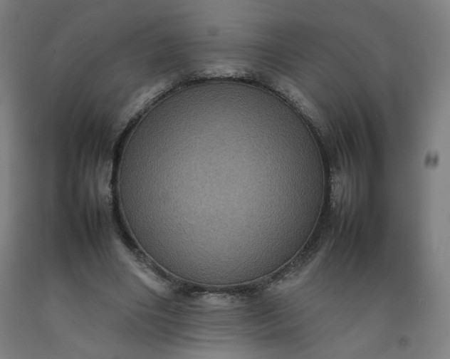 X0000092220490200709281046