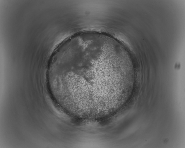 X0000092220491200709281046