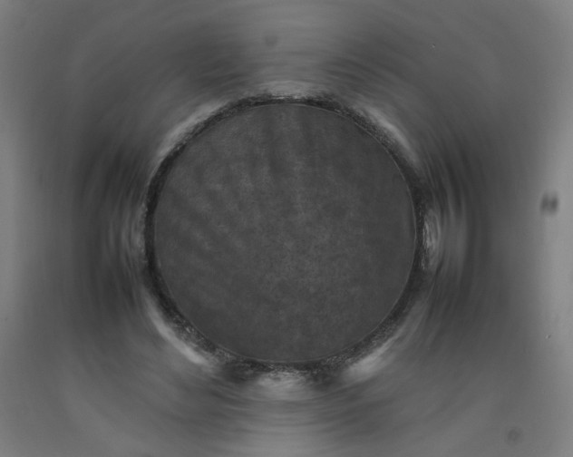 X0000092220492200709281046