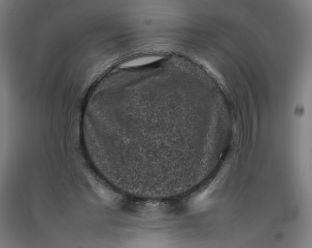 X0000092220493200709281046