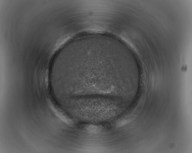 X0000092220494200709281046