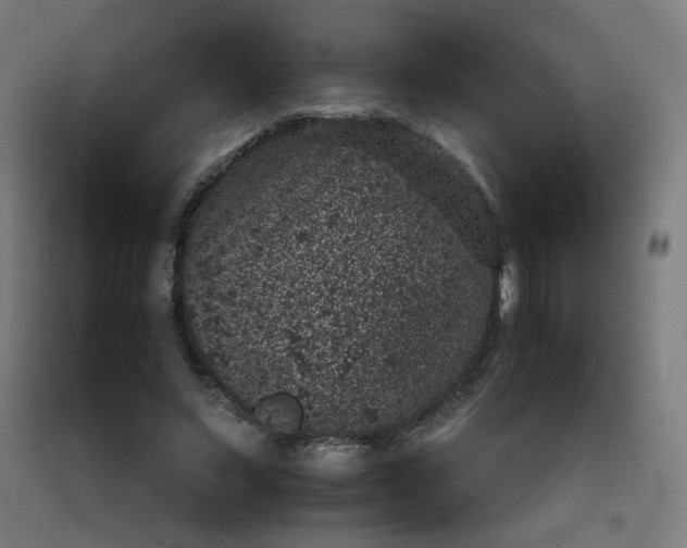 X0000092220495200709281046