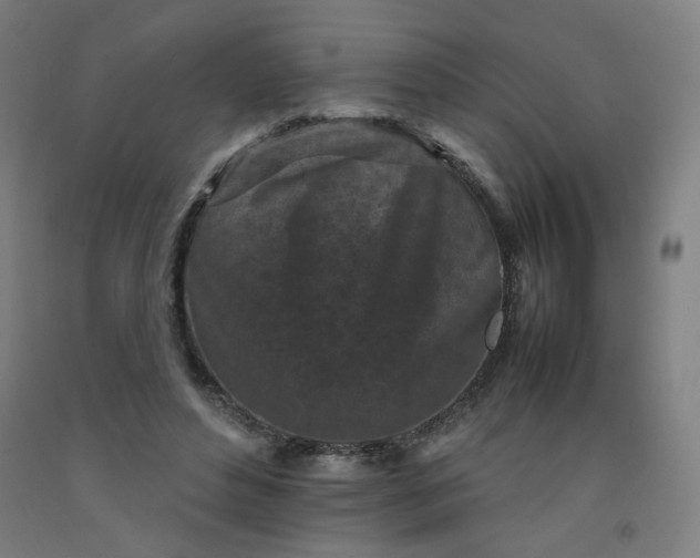 X0000092220496200709281046