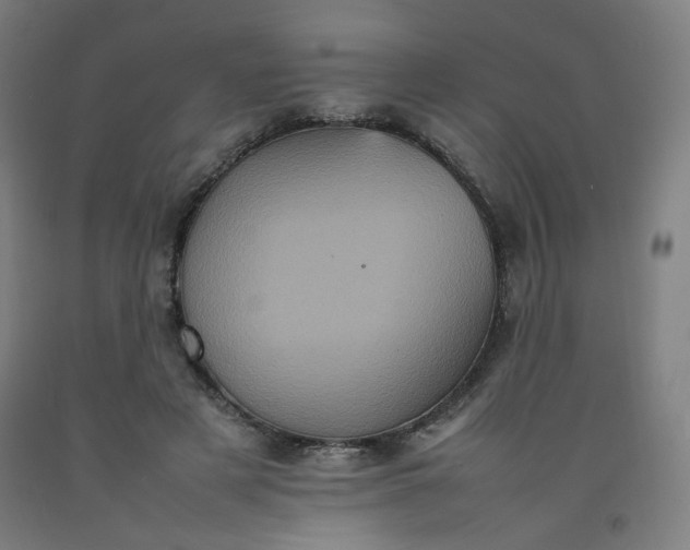 X0000092220497200709281046