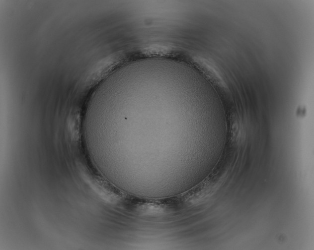 X0000092220498200709281046