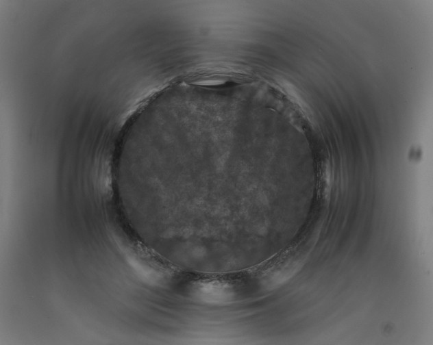 X0000092220500200709281046