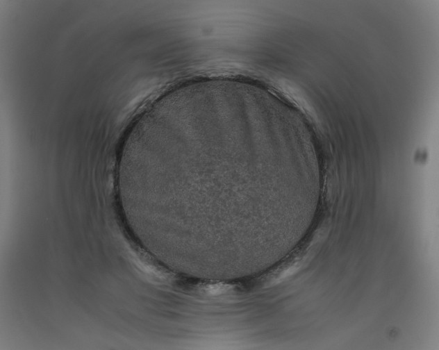 X0000092220501200709281046