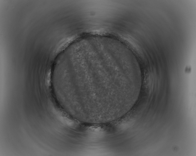 X0000092220502200709281046