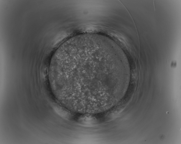 X0000092220503200709281046