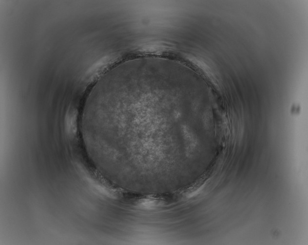 X0000092220504200709281046
