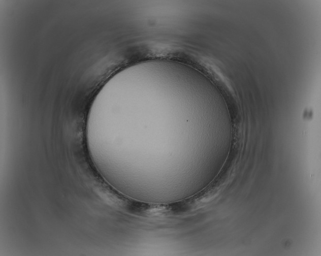 X0000092220505200709281046