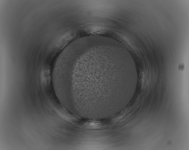 X0000092220506200709281046