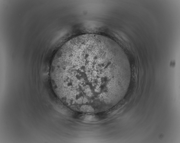 X0000092220507200709281046
