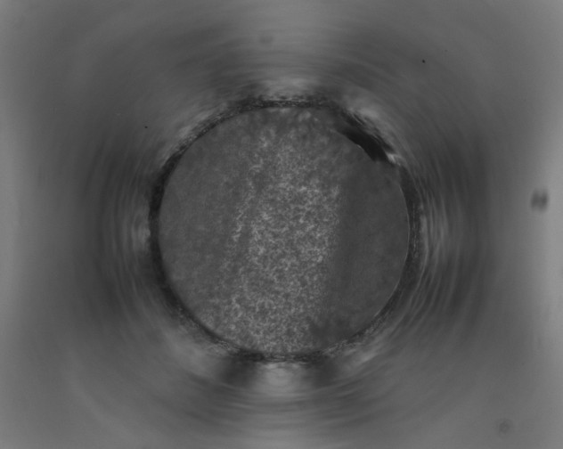 X0000092220508200709281046
