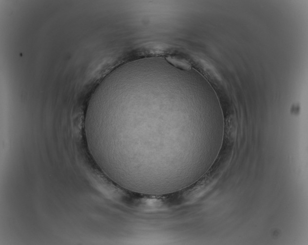 X0000092220509200709281046
