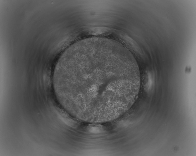 X0000092220510200709281046